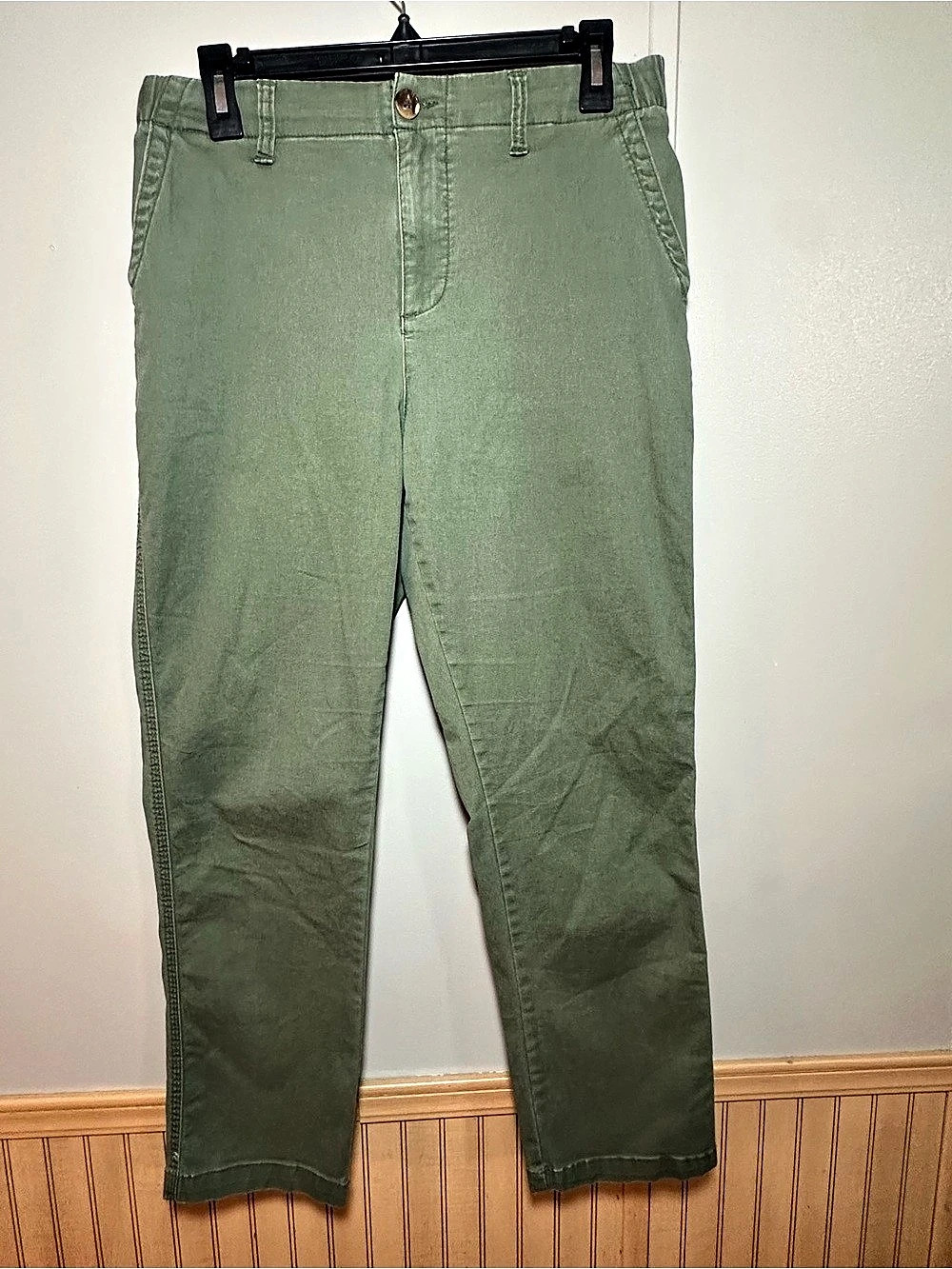 Old Navy Classic Easy Chino Alpine Tundra Green Cotton Ankle Pants Preppy Casual